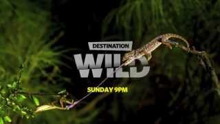 Destination Wild 2015