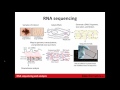 Introduction to RNA Sequencing