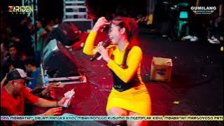 ZARIDEN MUSIC - BEBAS SALMA NOVITA - HAPPY PARTY 'WONG MBABATAN' DI MBABATAN MARGOYOSO PATI