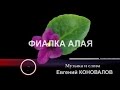 Евгений КОНОВАЛОВ  - "Фиалка алая"   NEW 2017!!!