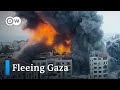 Displaced Gazans in search of security | DW News