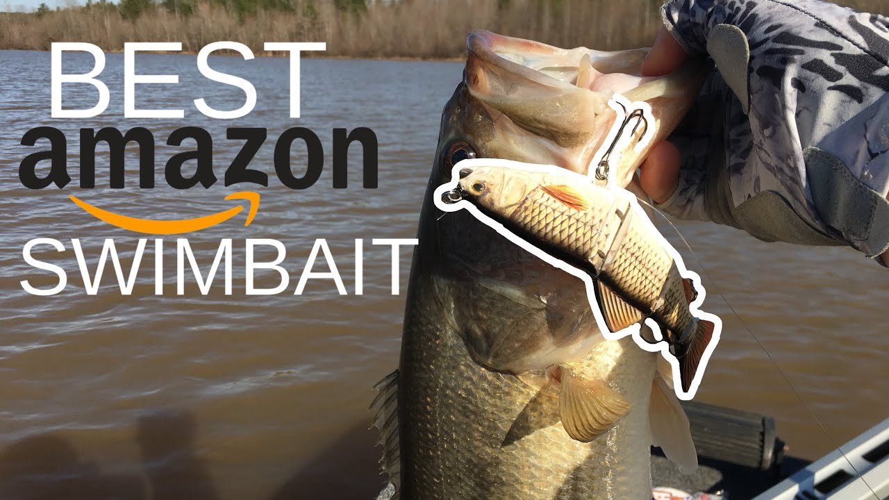 Ods Lure  Swimbait Review 