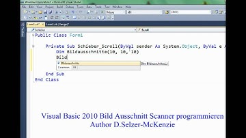 Visual Basic 2010 ein Bild Scanner programmieren SelMcKenzie Selzer-McKenzie