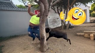 Try Not To Laugh 🤣 Top 100 Funniest Fails \u0026 Memes From Around The World Compilation 🌍