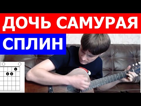 Сплин - Дочь самурая аккорды  🎸 кавер табы как играть на гитаре | pro-gitaru.ru