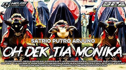 DJ BANTENGAN‼️OH_DEK_TIA_MONIKA (SATRIO PUTRO ARJUNO) remixer @djhelossproductionprc5186