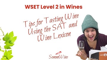How to Taste Wine with the WSET Level 2 in Wines SAT | Tasting a 2004 Rioja Reserva
