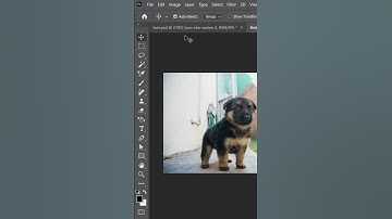Đổi phím tắt khi lưu file và xuất file trong photoshop