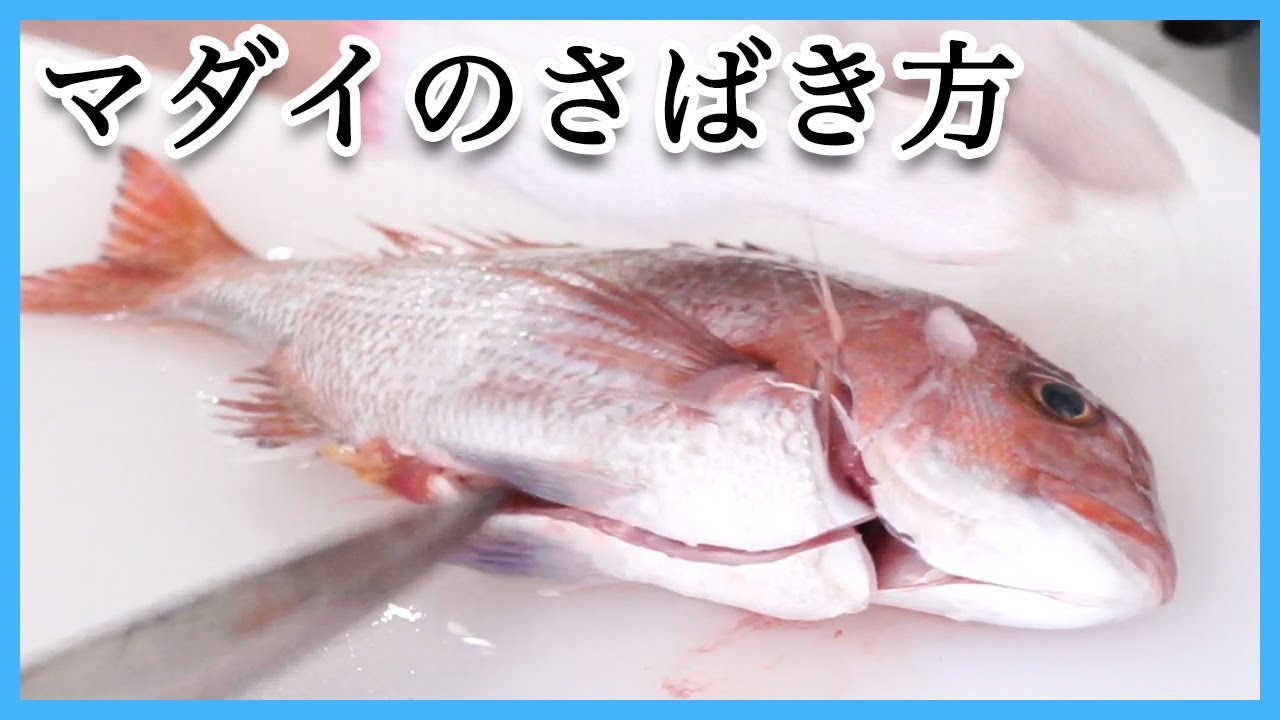 お魚のさばき方 道の駅むなかた 公式ホームページ