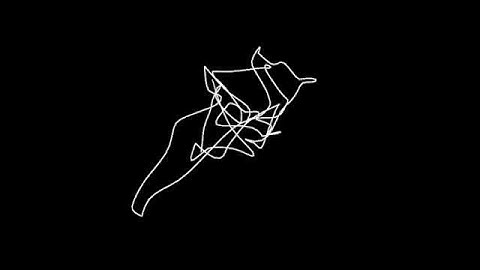 Random Lines: Exploring the Beauty of Unexpected Drawings