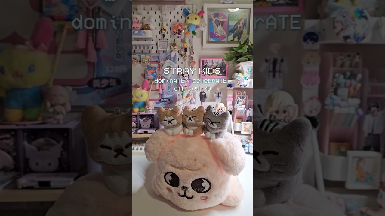 Stray Kids dominATE: celebrATE merch unboxing ᯓ☆
