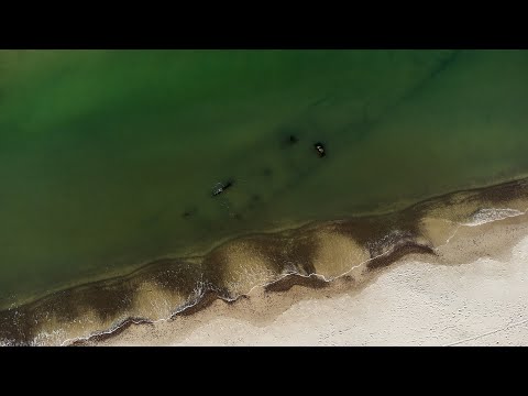 Wrak duńskiego Torpedowca