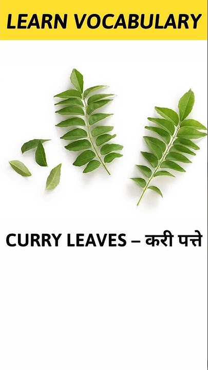 Curry Leaves Meaning In Hindi Learn Vocabulary Shorts YouTube curry-leaves-meaning-in-hindi-learn-vocabulary-shorts-youtube