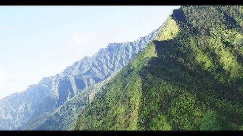 Hello Meteor - The Wind was a Living Thing