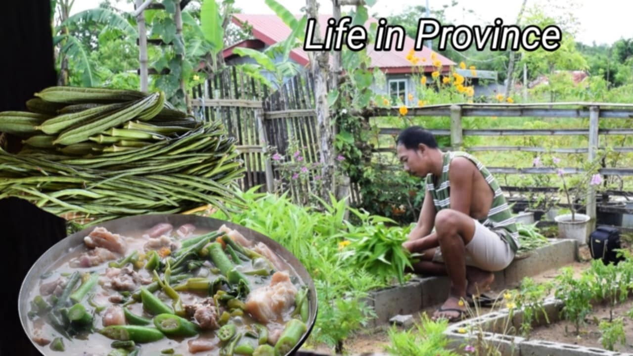 Sinigang for rainy season | Harvest different kinds of veggies in the farm | Free and organic