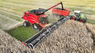 Case IH Axial-Flow 9260 with 50 ft. Wide MacDon FD250 Header Harvesting | Big Harvest