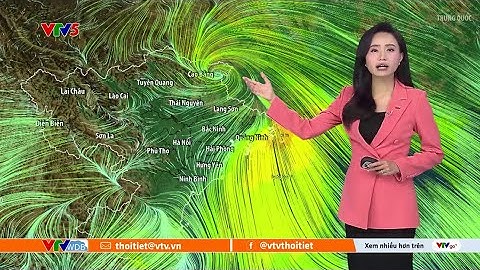 Dự báo thời tiết ngày mai 07/10/2025 | Áp thấp nhiệt đới suy yếu thành vùng áp thấp | VTVWDB