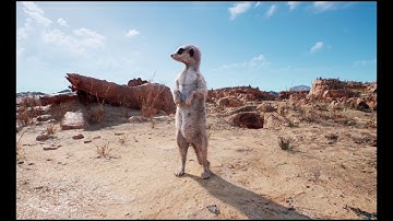 The Meerkat Demo by Weta Digital