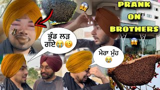 BEES ATTACK ON ME😭PRANK ON FRIENDS AND BROTHERS😱FACE SUJJ GYA SARA😳GONE WRONG