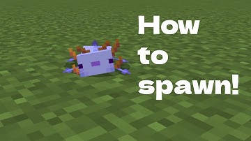 How to spawn a blue axolotl in Minecraft! (With Command Blocks)