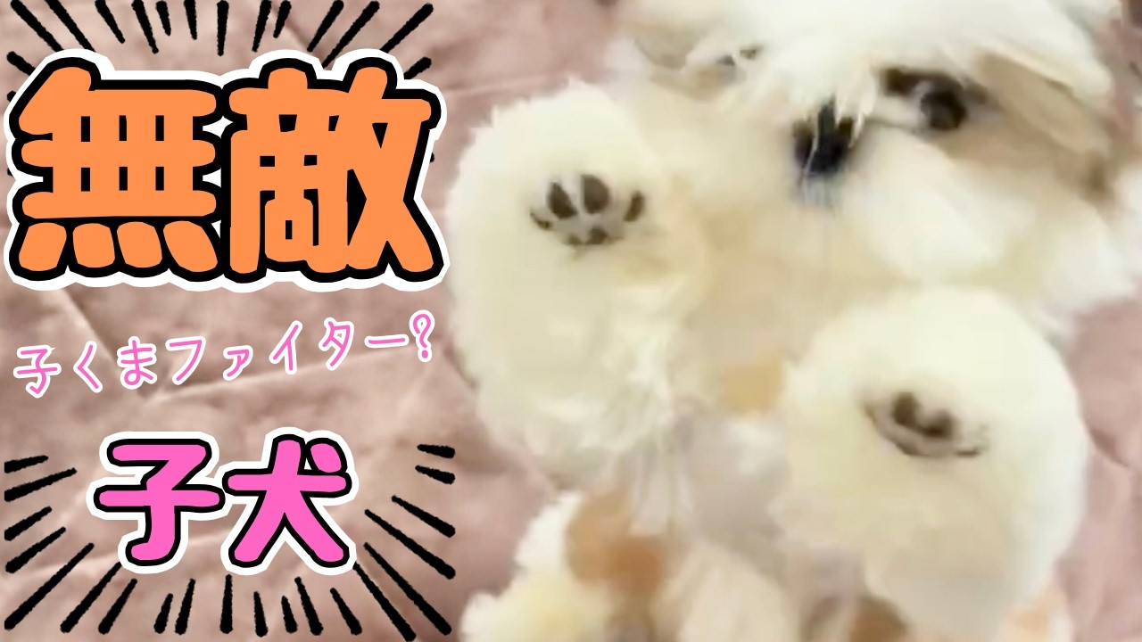 【○○へ避難？】やりすぎた結果…【アテレコ】