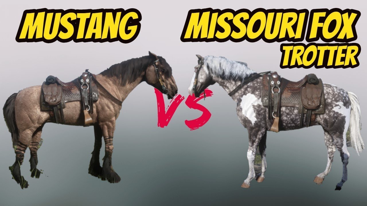 rig smidig ide Missouri Fox Trotter VS Mustang! Battle Of The Best Horse ! Red Dead  Redemption 2 - YouTube