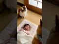 仲良くしてくださいwww #ai #犬 #shorts