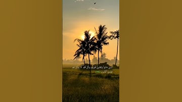 (الذين آمنوا وتطمئن قلوبهم بذكرِ الله ألا بذكرِ الله تطمئن القلوب) سورة الرعد