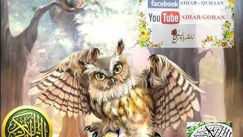 090 - سورة البلد - يوسف كالو