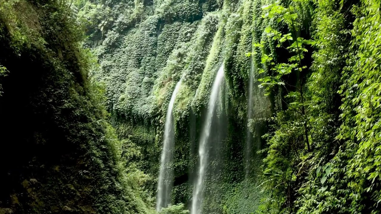 Devocional Confiança em Deus: a força que sustenta 