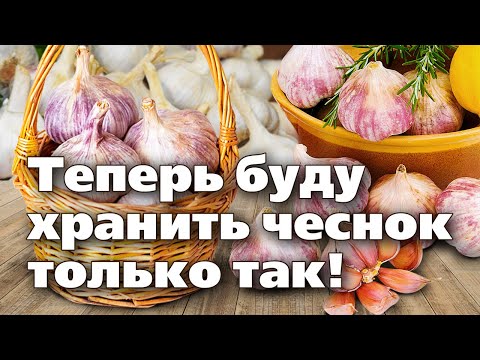 ЧЕСНОК НЕ БУДЕТ ГНИТЬ И СОХНУТЬ, ЕСЛИ ХРАНИТЬ ЭТИМ СПОСОБОМ