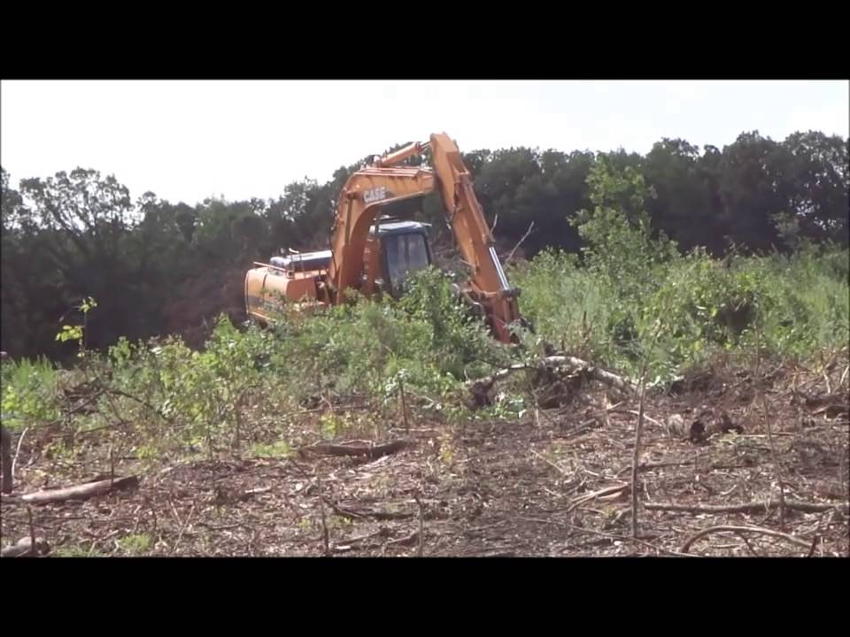 Digging Stumps with the Excavator YouTube