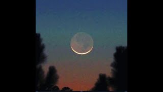 Madison Scott Psychic Tarot reading