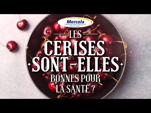 Vidéo: Qui Est Nocif Pour Les Cerises ?