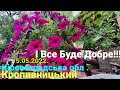 15.05.2022 Победа близка