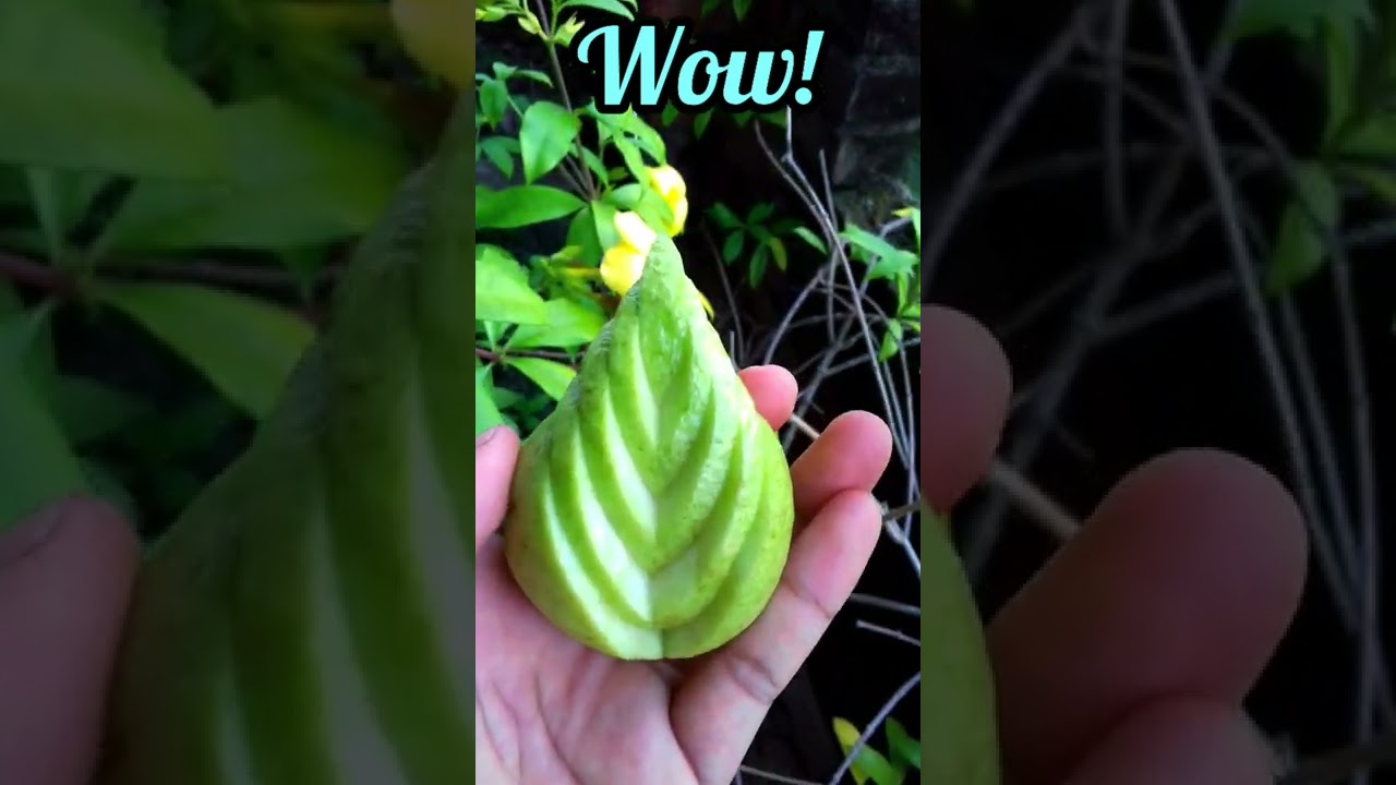 Transformation video 😍😮😍 | Guava | Show Off Sajol 