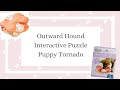 Cat&#39;s Canines ~ Outward Hound Interactive Tornado Puzzle Level 2 - Review