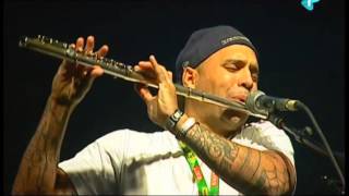 Asian Dub Foundation live @ EXIT Festival 2014