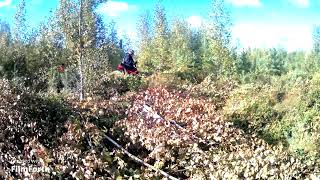 Raivuuta Kahdella Sahalla - Brush Cutting With Stihl Fs 460C Jonsered 2236