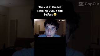 Cat in the hat in Belfast #youtubeshorts #viral #trending #edit #funny #fyp #fypシ #lol #cool #memes