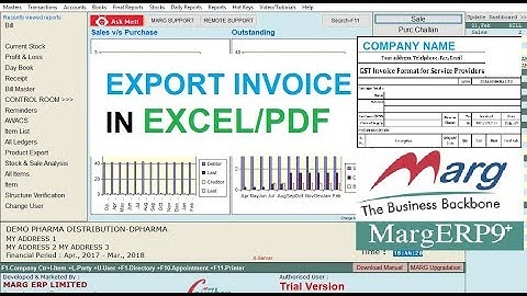How to export invoice in EXCEL/PDF format (HINDI) | MARG ACCOUNTING BASICS FOR BEGINNERS |