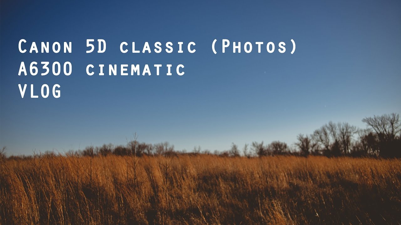 Golden Hour Shoot and Update vlog canon 5d classic sony a6300
