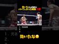 効いたことが相手にバレてしまった瞬間３選 #shorts #格闘技 #k1 #rizin #breakingdown