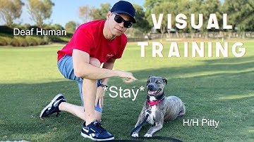 How to Train Your Puppy with Sign Language