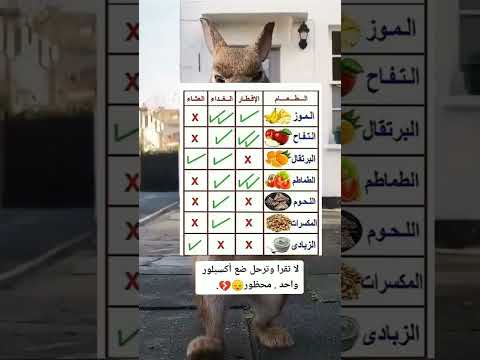 اكل الطعام الصحي معلومات