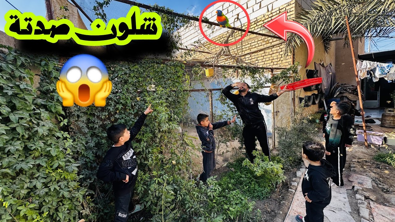 صيد العصفور الهارب 