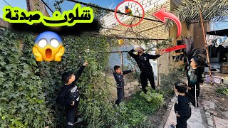 صيد العصفور الهارب 