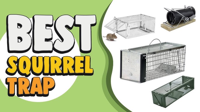 New Video: How to Set the Little Giant® Live Animal Traps - Miller  Manufacturing Company Blog