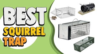 Best Squirrel Trap in 2021 - Catch Squirrel Easily & Efforylessly!