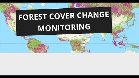Forest Cover Change Monitoring